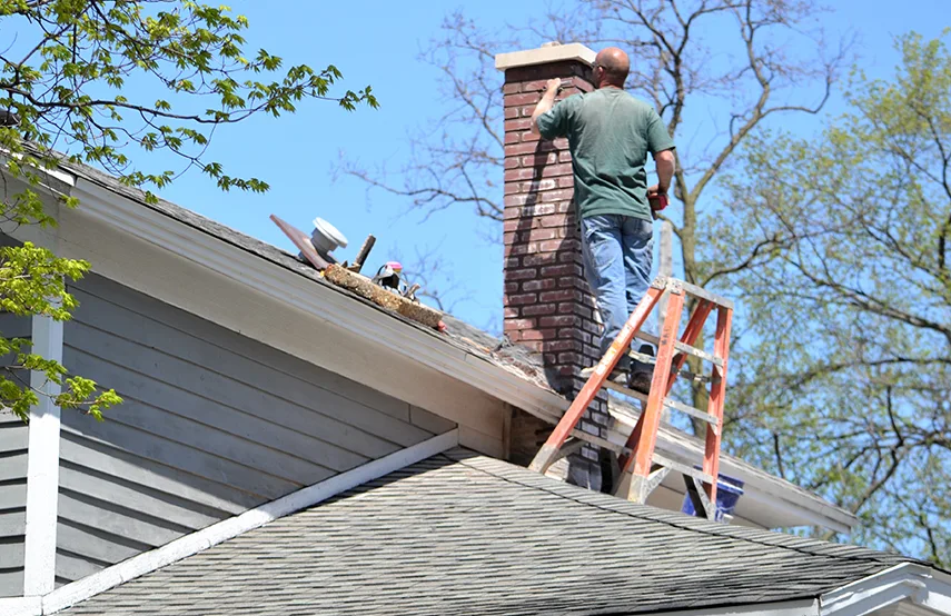 Chimney & Fireplace Inspections Services in Estero, FL